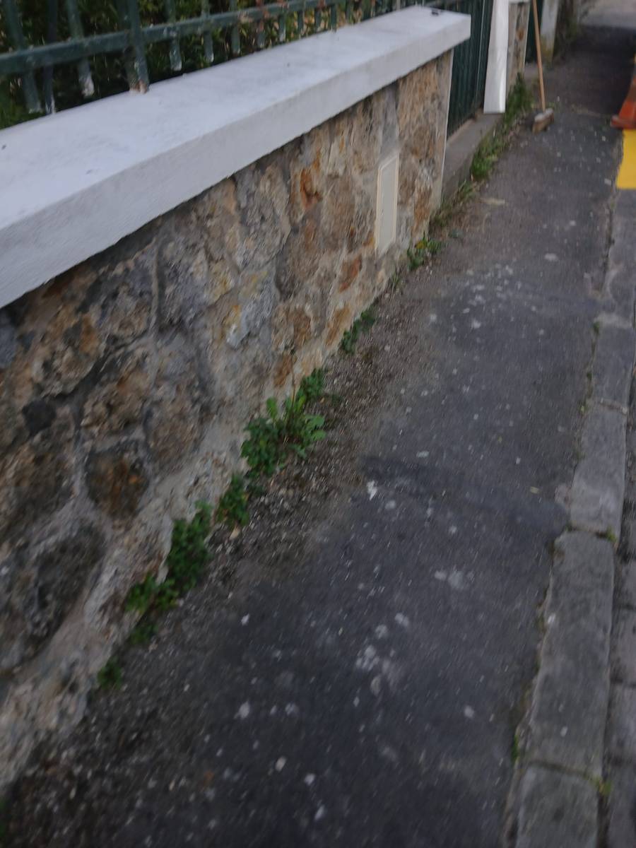 Peinture portail Val d&rsquo;Oise (95) image 7